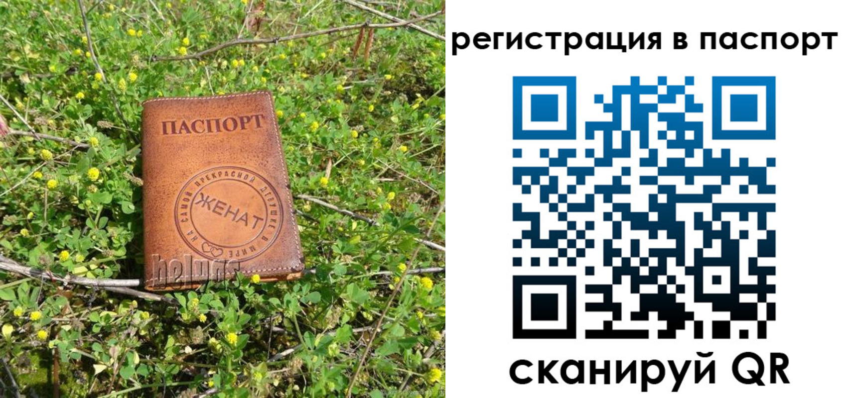 прописка законно в Лагани